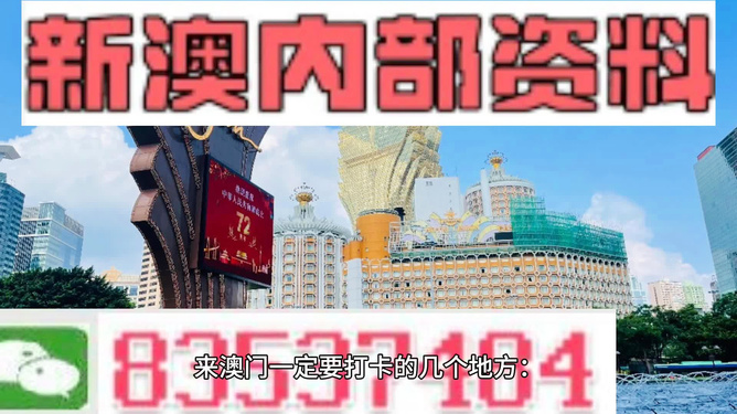 新澳门中特期期精准,实地验证策略_移动版90.313