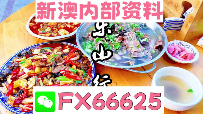 新澳资料正版免费资料,动态解析说明_2DM91.378