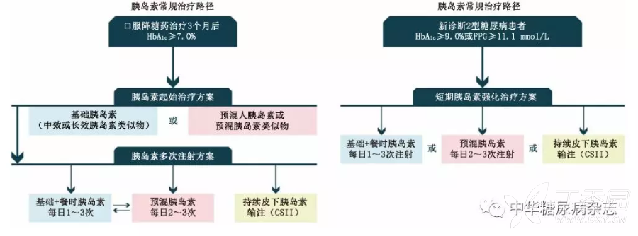 最新糖尿病指南，全面洞悉糖尿病及其管理之道