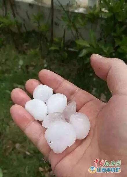 最新冰雹天气灾害，突如其来的影响与后果